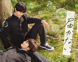 列车一号电视剧全集